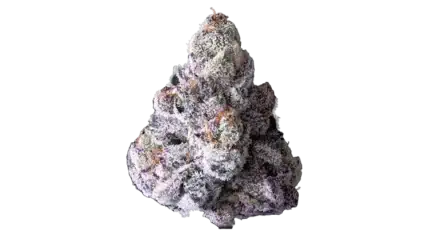 98 Reserve - Premium Indoor Exotic Flower 1/2lb