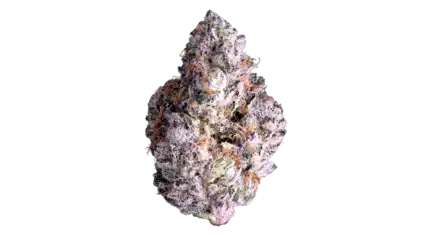 Key Lime Jack - Premium Indoor Exotic Flower 1/2lb