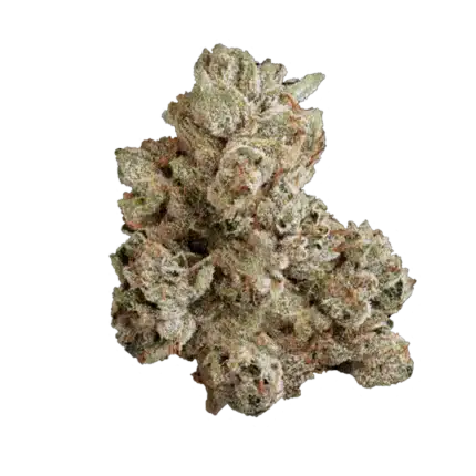 King Louis XIII - Premium Indoor Exotic Flower QP (113g)