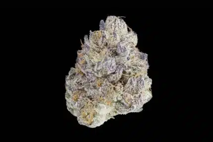 Pure Kush - Premium Indoor Exotic Flower QP (113g)
