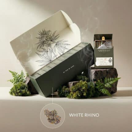 Casacanna – White Rhino – 7-Pack Whole Flower Premium Pre-Rolls (2.8g) – Master Case (10 Units)