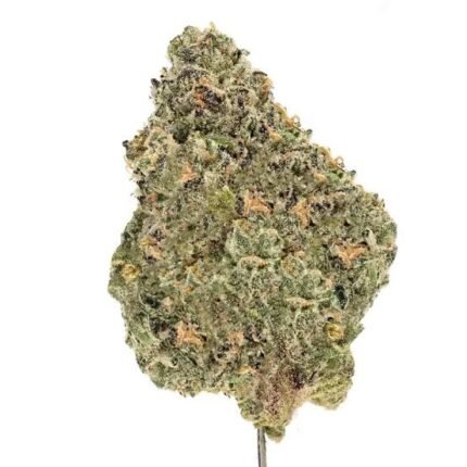 #1 OMG Production - Runtz - Light Dep Flower 1/2lb (Excellent light dep quality)