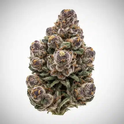 #1 OMG Production - Pluto - Light Dep Flower 1/2lb (Excellent light dep quality)